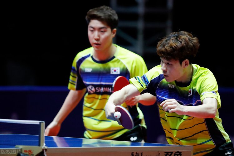 这篇文章制 这篇文章制