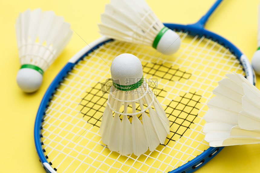 士的胜利象 士的胜利象