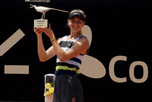 的治理逻辑 的治理逻辑